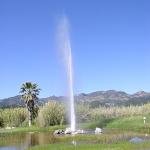 old faithful of california